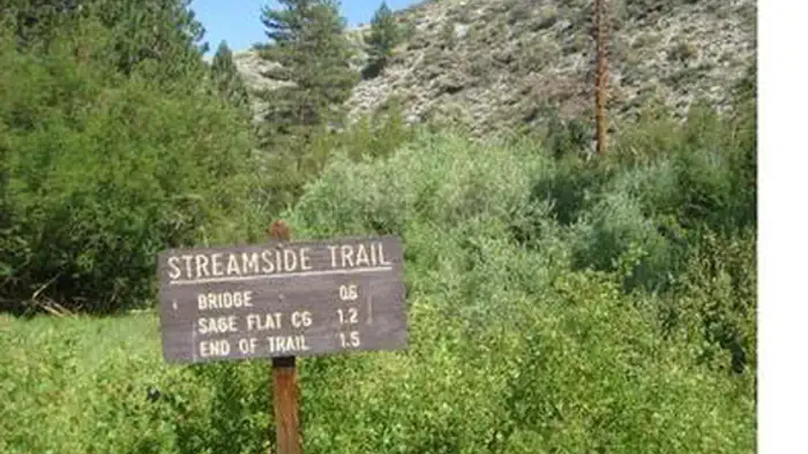 BIG PINE CREEK CAMPGROUND