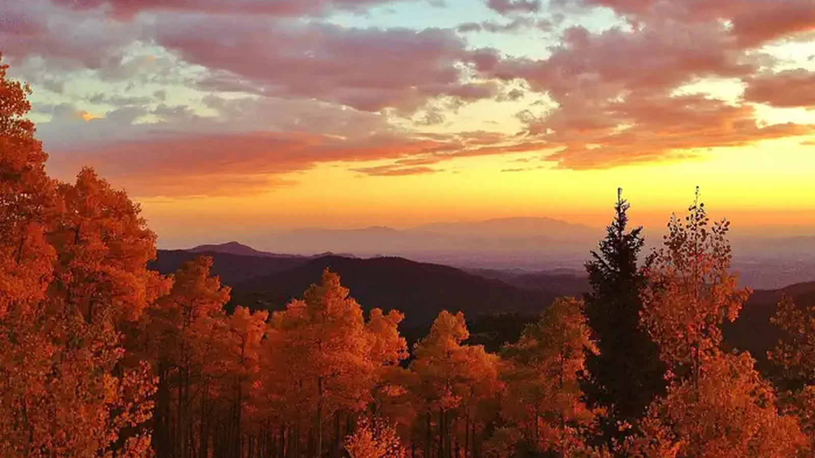 Santa Fe National Forest