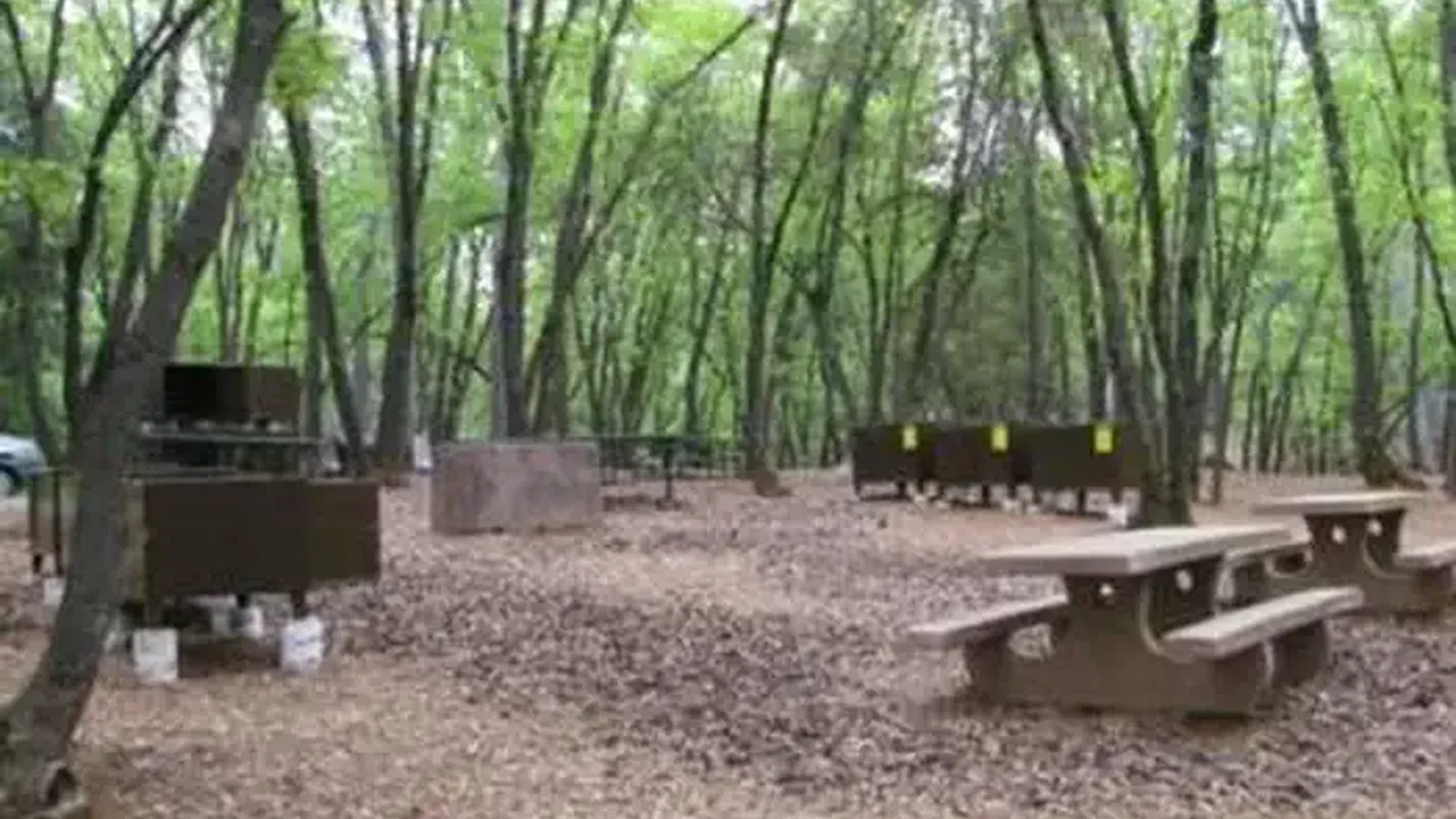 View showing picnic tables