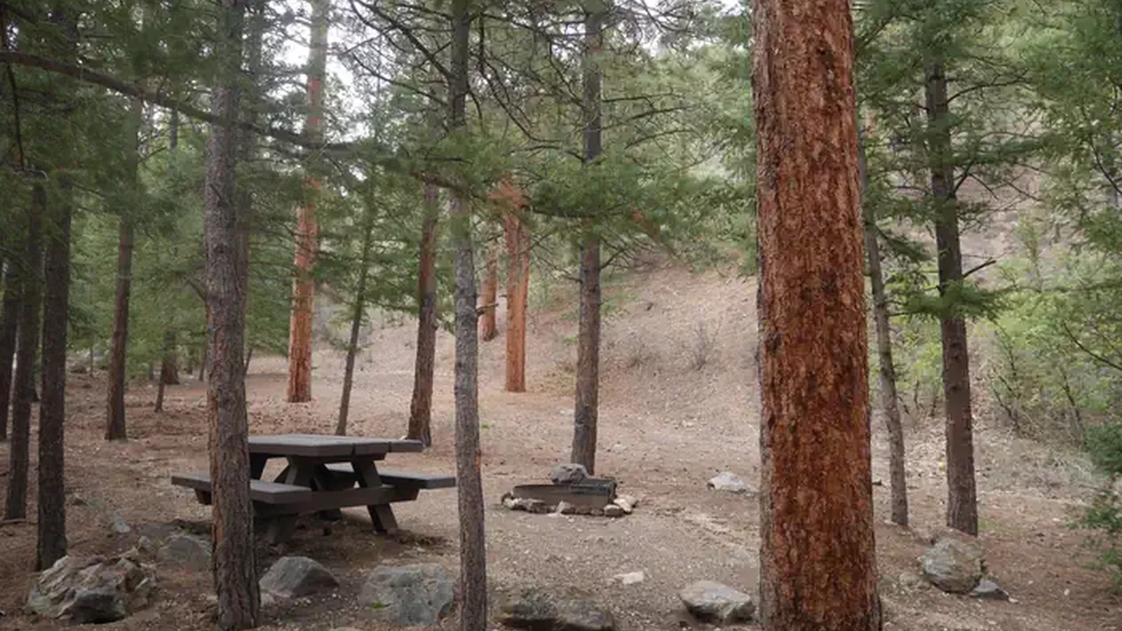 Elephant Rock Campground