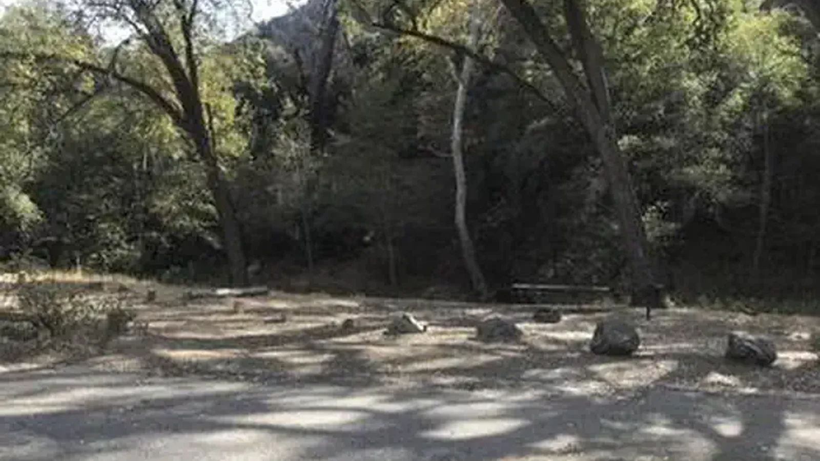 DAVY BROWN CAMPGROUND