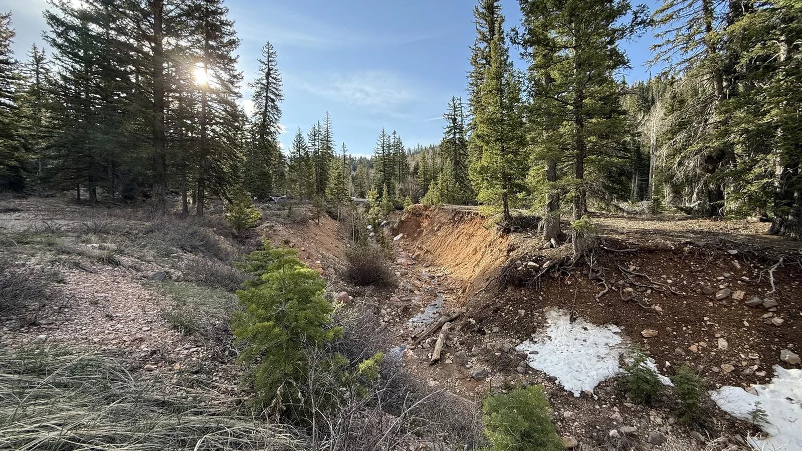 Cedar Canyon Camp