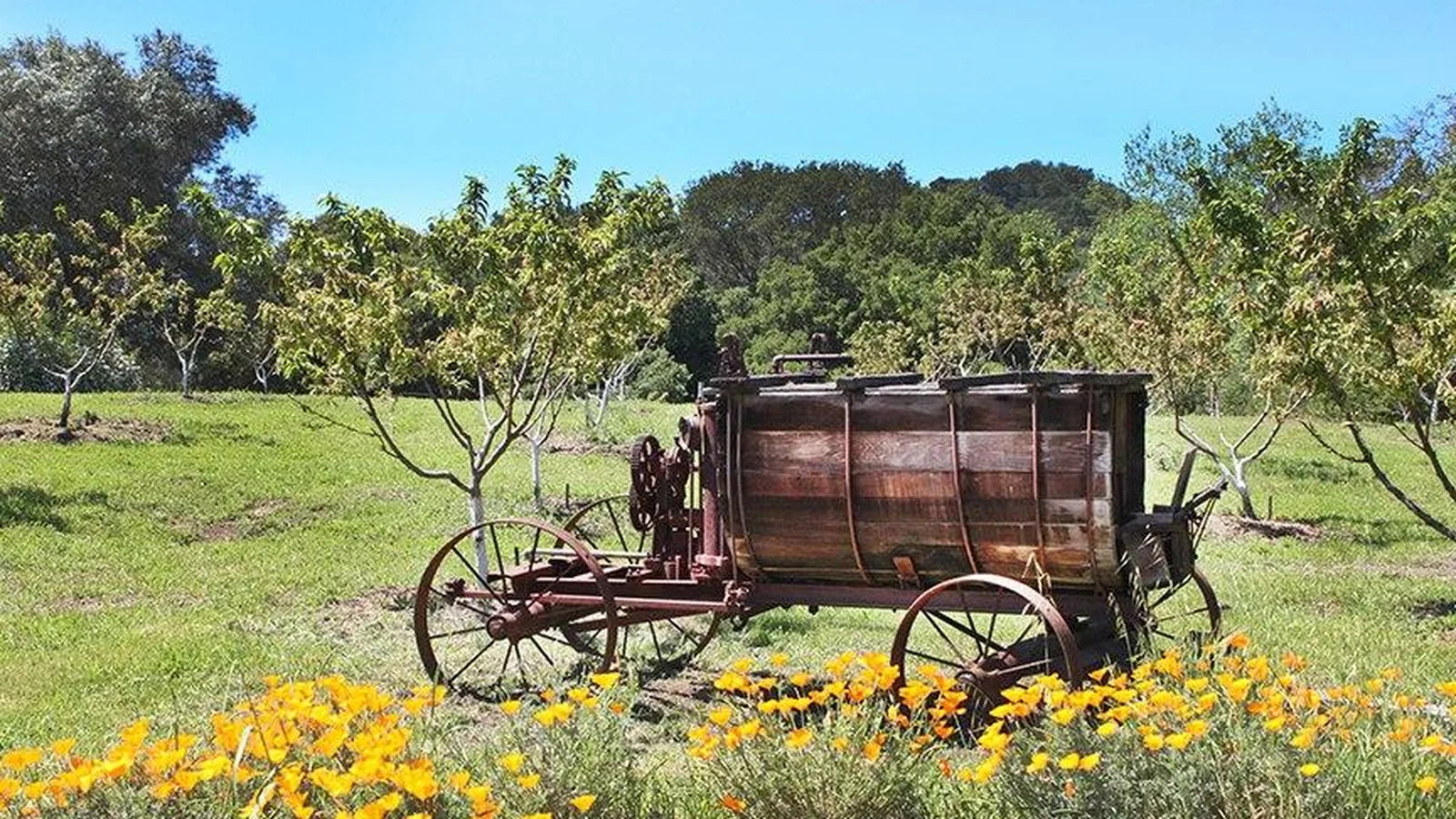 John Muir National Historic Site