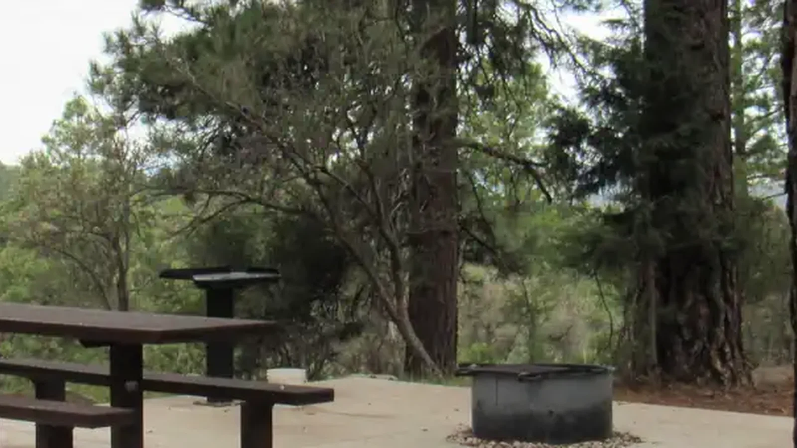 Crackfoot campground site 20