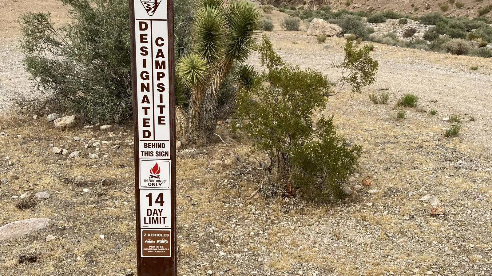 Beaver Dam Wash Designated Dispersed Camping Area