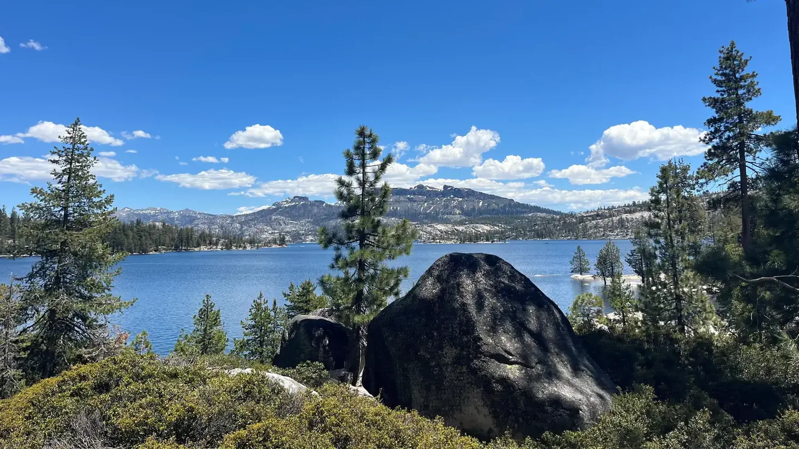 Spicer Reservior