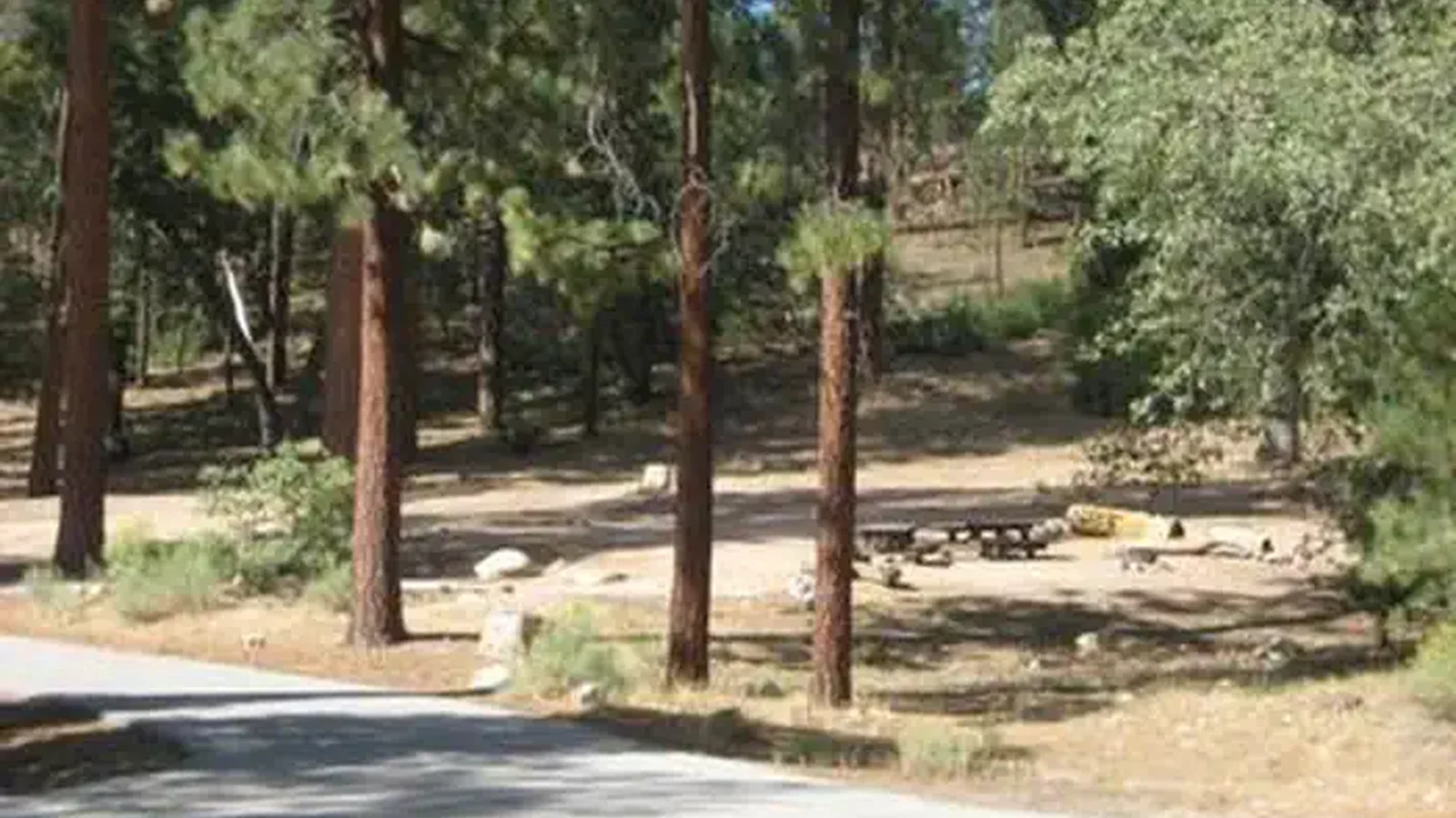 Barton Flats Campground Picnic Tables