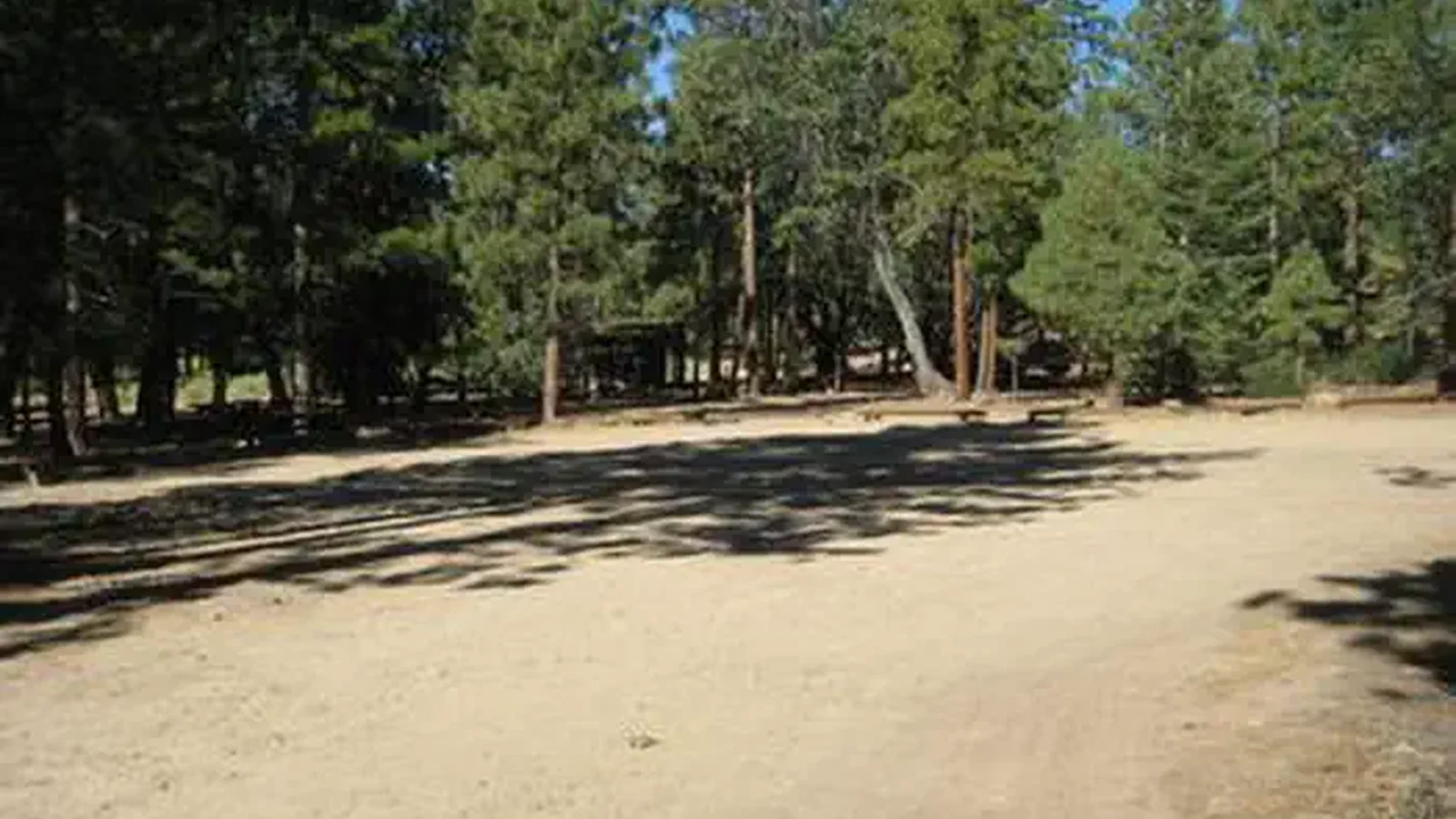 Wide open area at the Lobo Group Campground