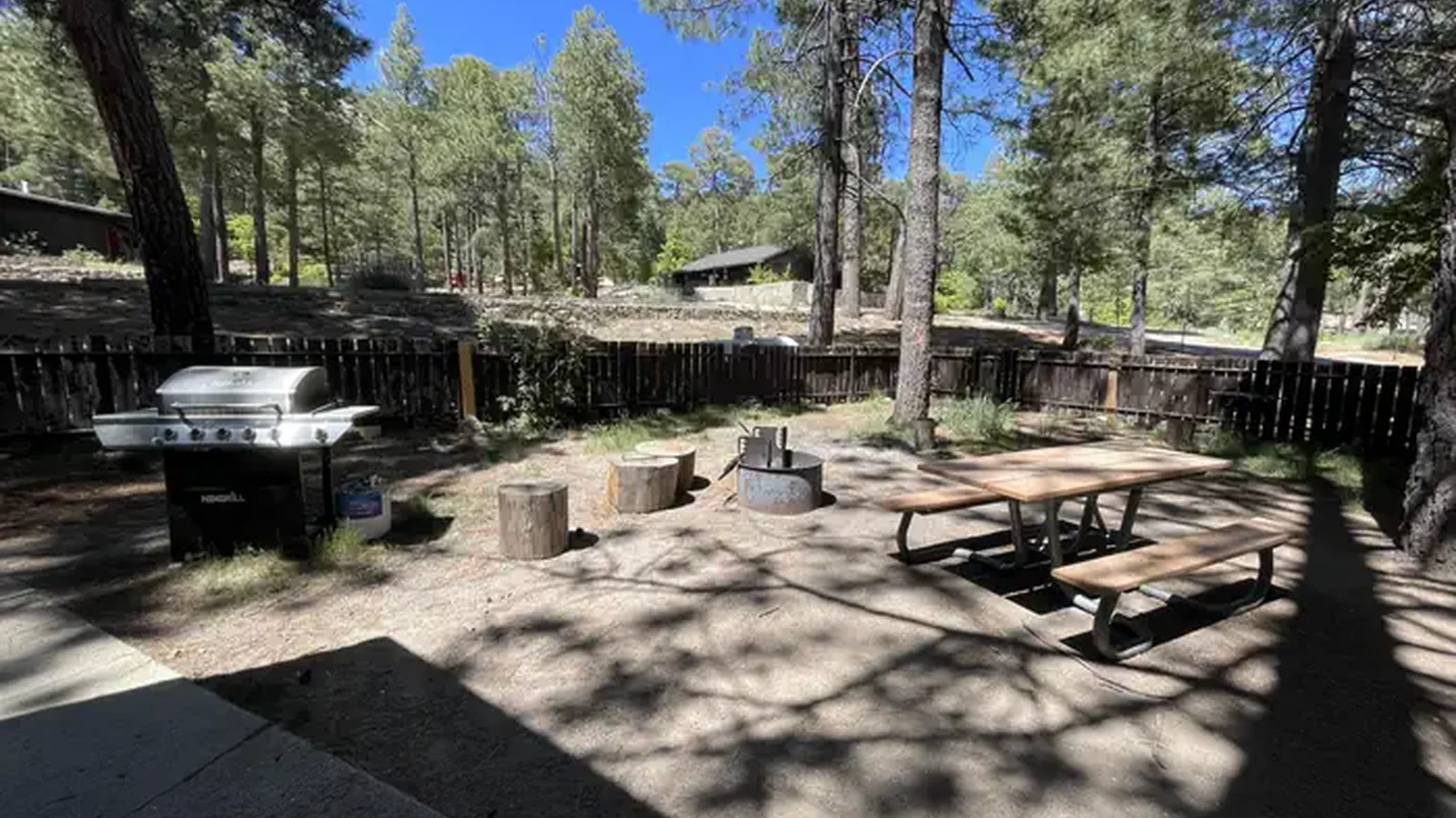Palisades Cabin, Front Yard