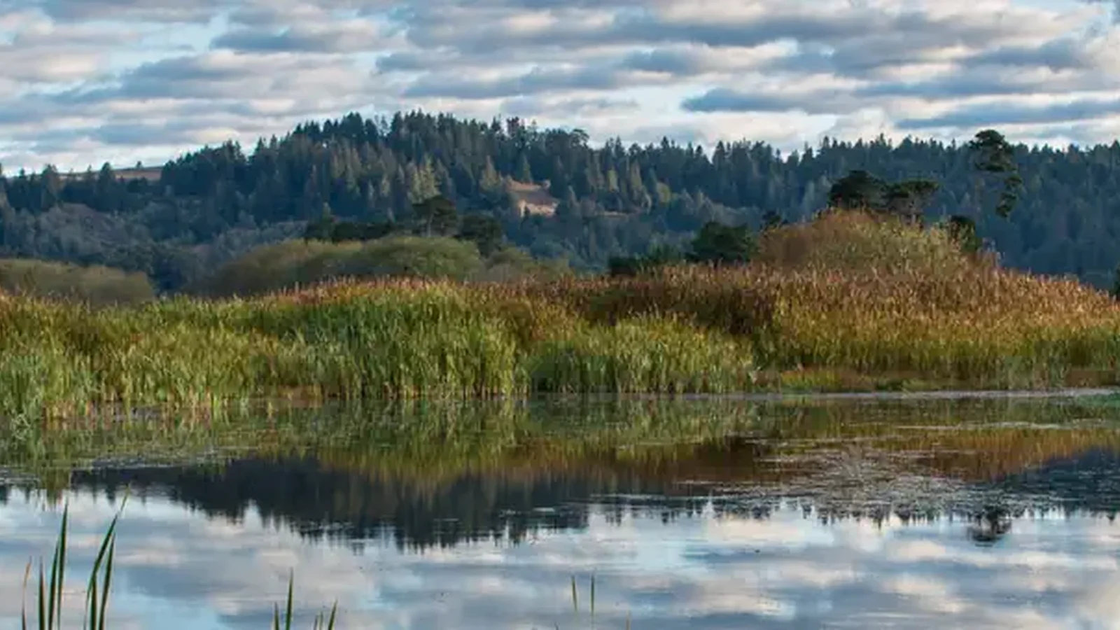 Humboldt Bay National Wildlife Refuge