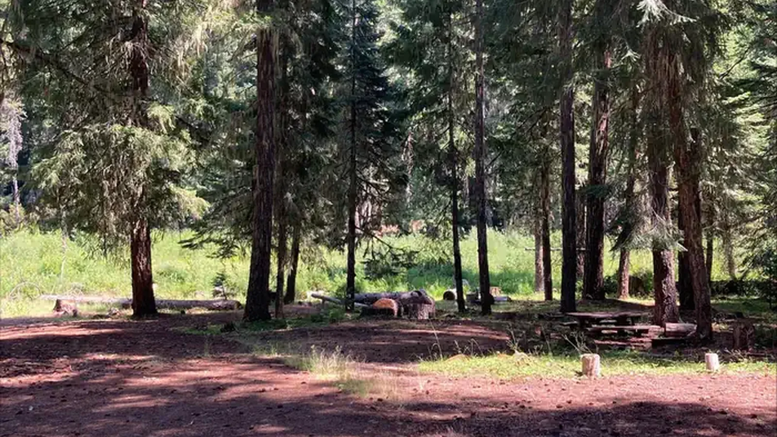 Group Camp