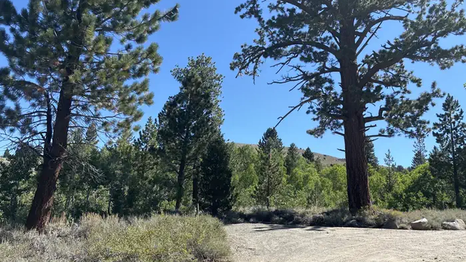 A photo of facility Obsidian with No Amenities Shown