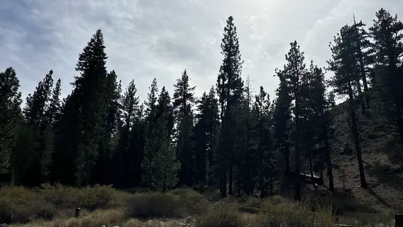 A photo of facility Bootleg with No Amenities Shown