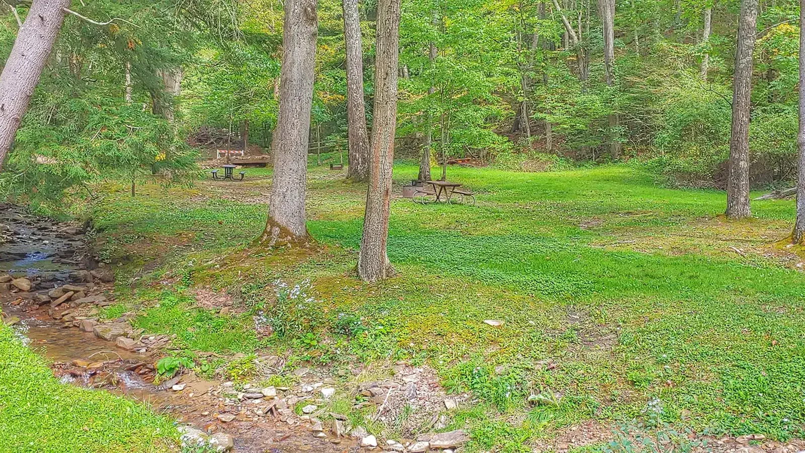Creek by Campsites