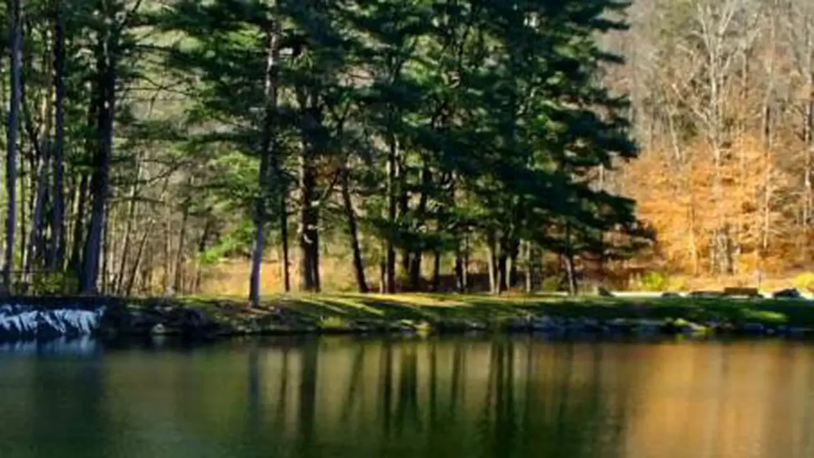 This rustic campground is located on the west bank of the Allegheny Reservoir.