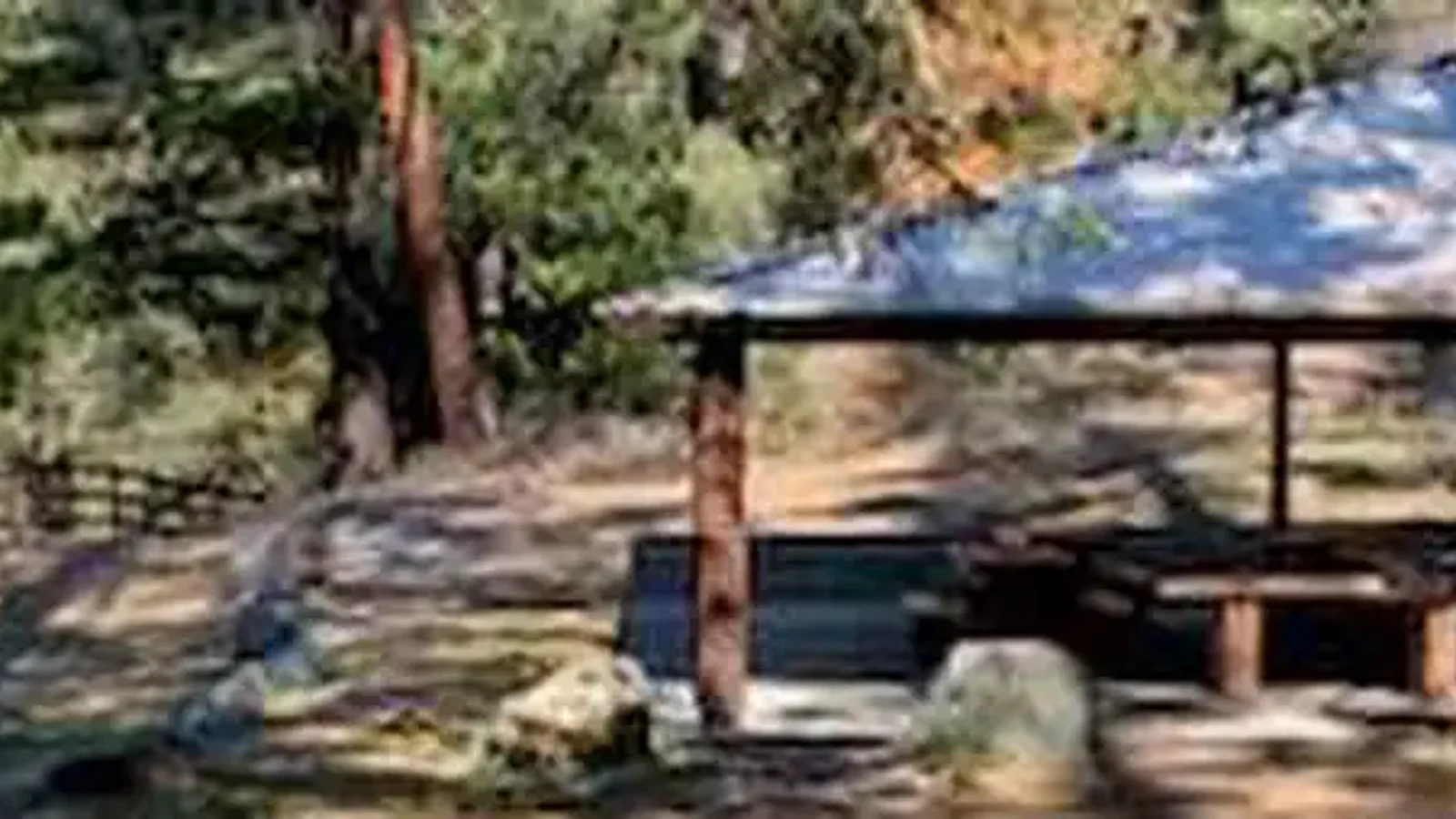 Shelter at Pigeon Point Group Campground