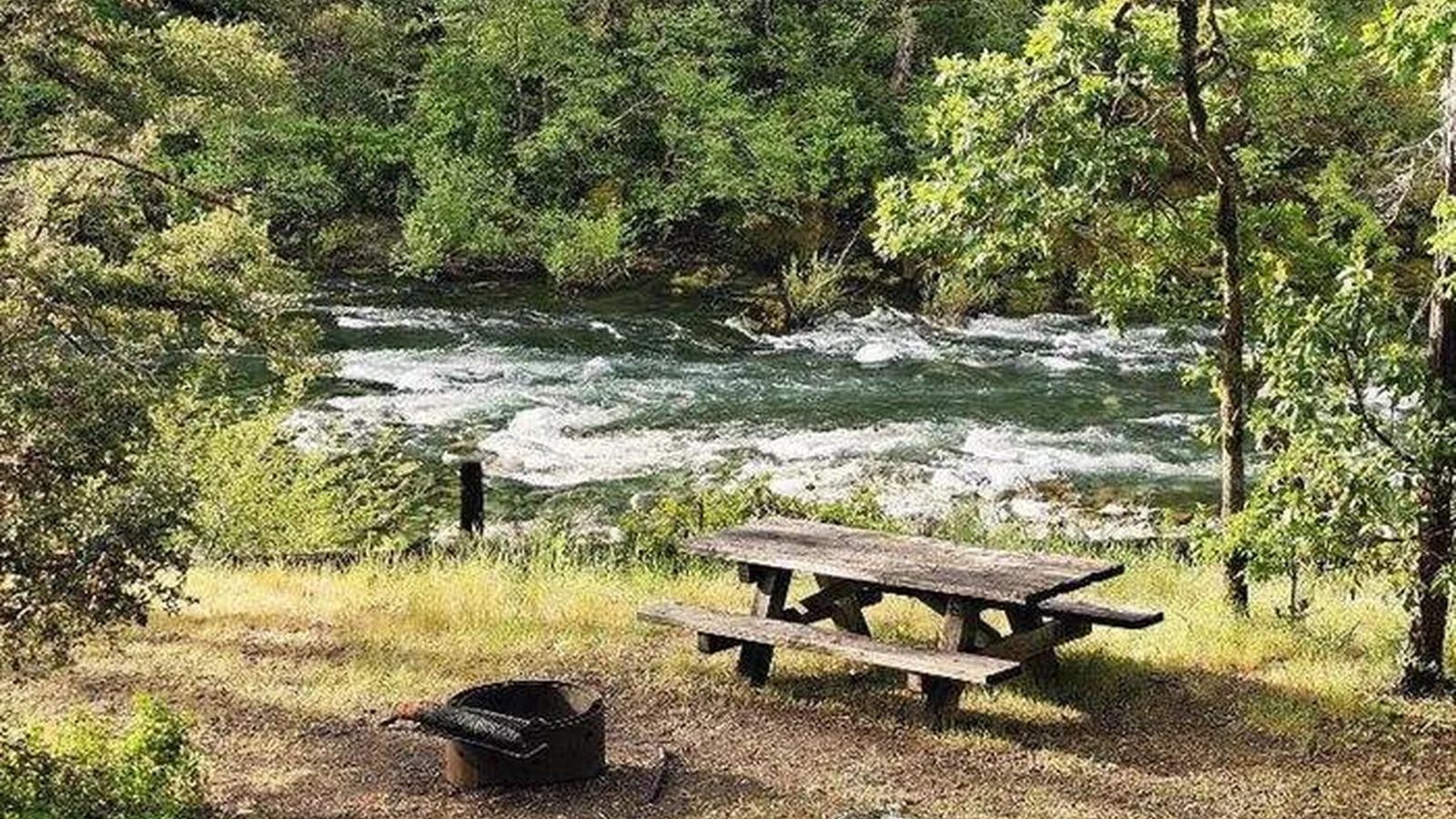 Campsite at River Bench