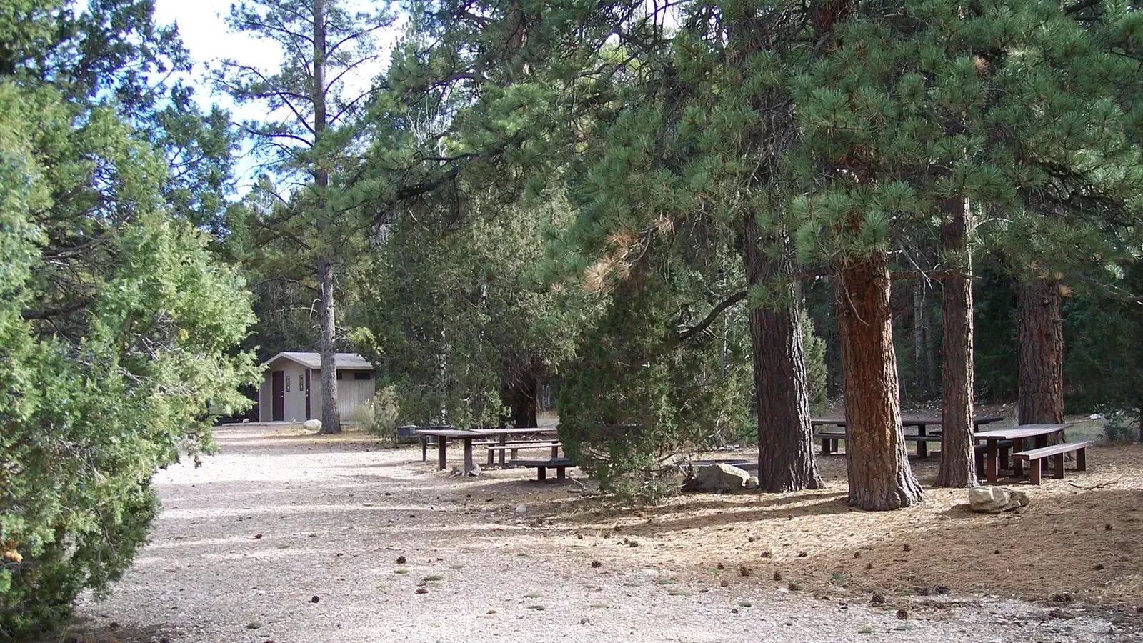 Johns Valley Group Campsite