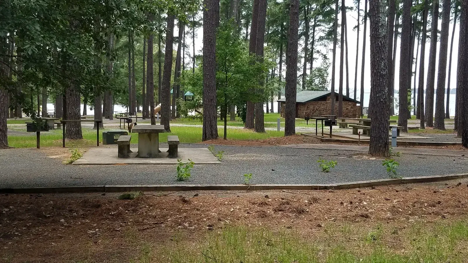 Campsite in Piney Point Park at Wright Patman Lake