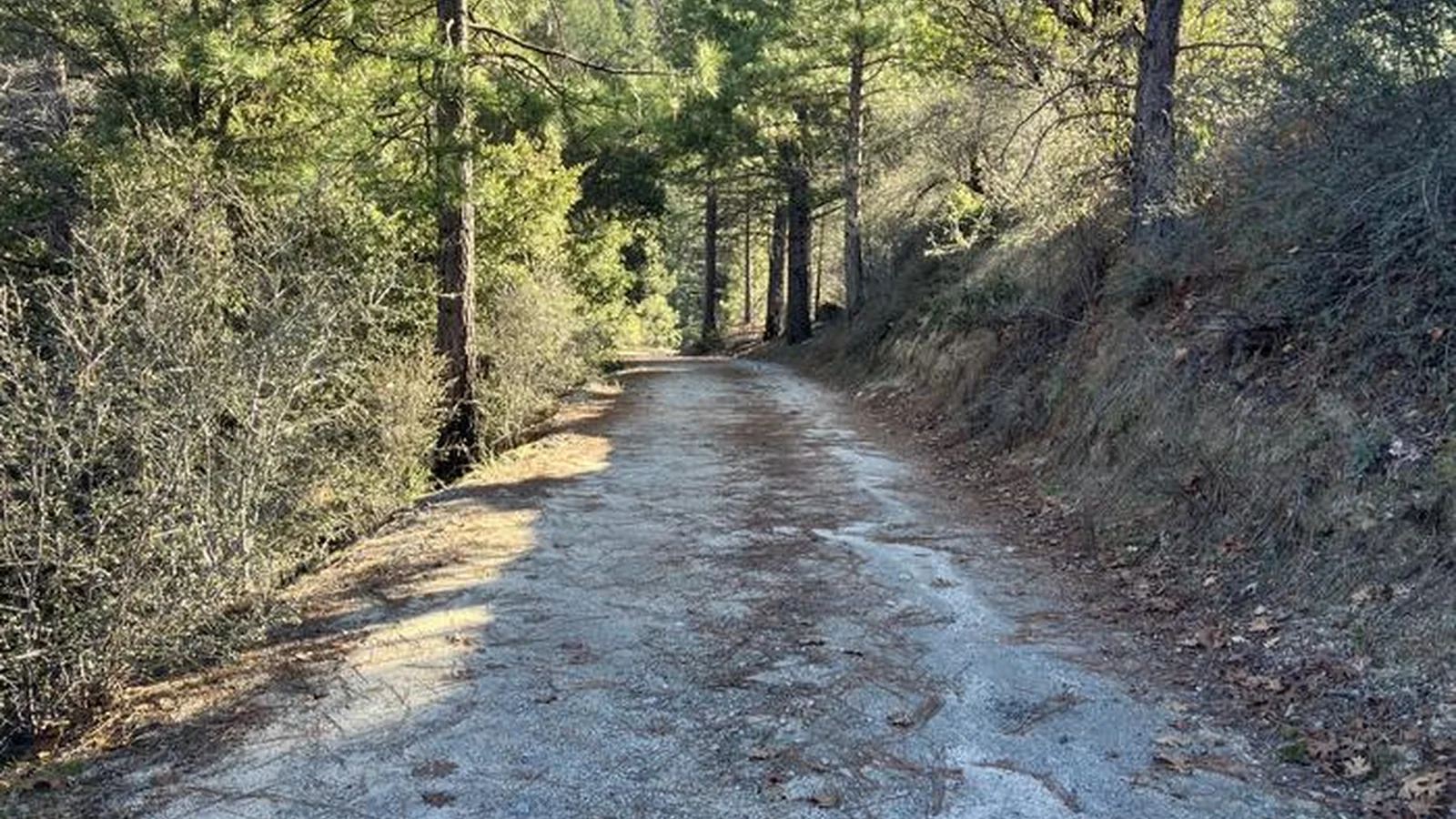 Road from Crystal Creek Road leading to campground.