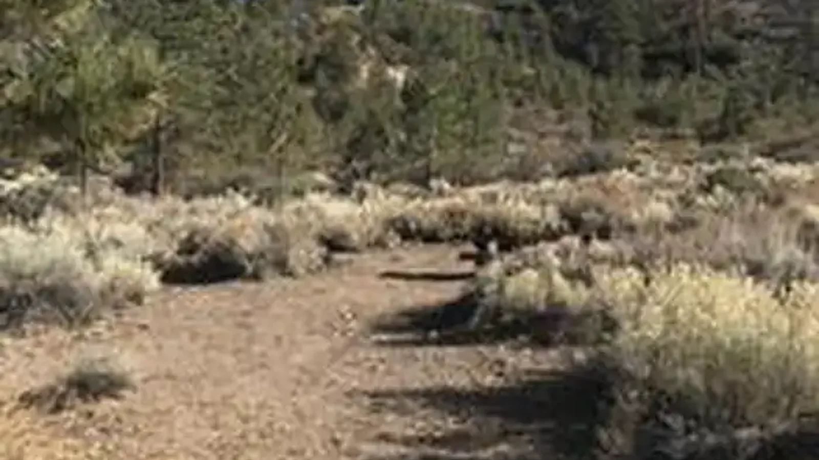 CHUCHUPATE CAMPGROUND