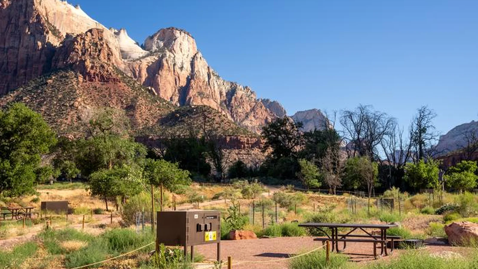 View along the walk-in path to a campsite in Zion Canyon, featuring a picnic table, fire ring, and food storage locker among low vegetation, with rugged sheer sandstone cliffs rising dramatically in the background.