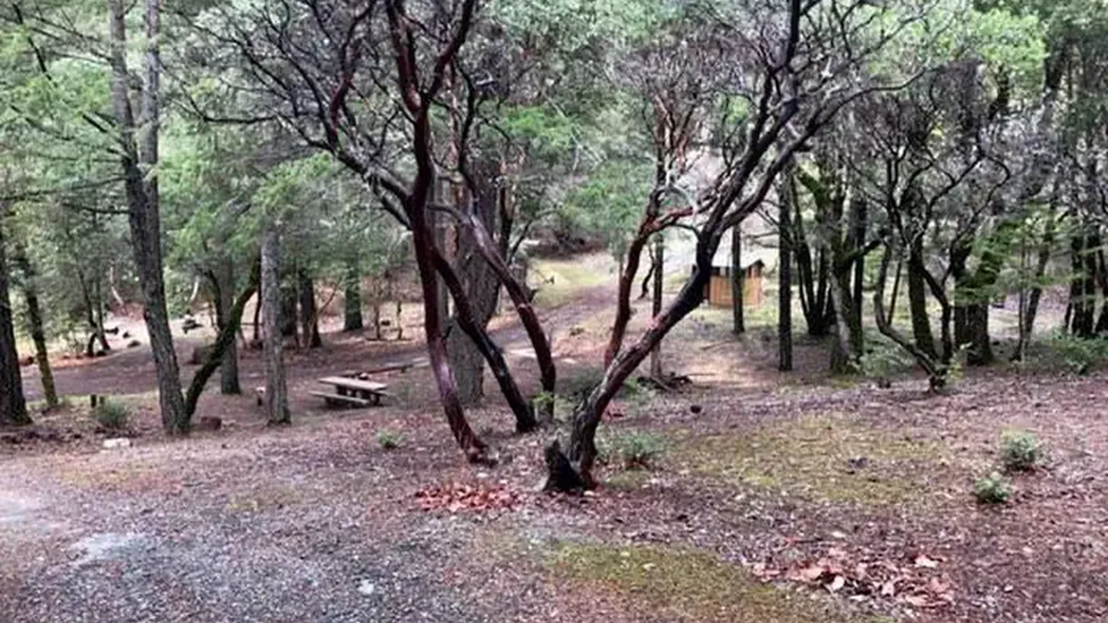 Hayden Flat Campground