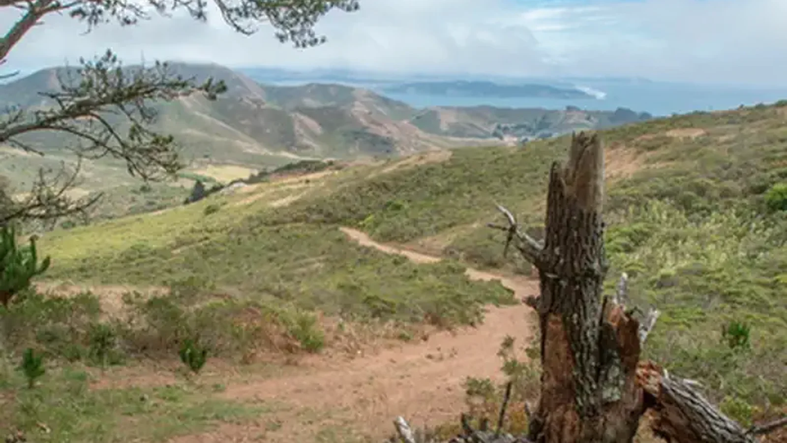 View from the top.