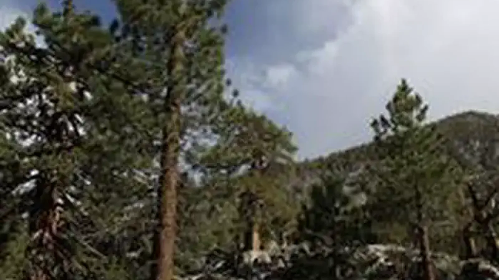 GREEN CREEK GROUP Scenery