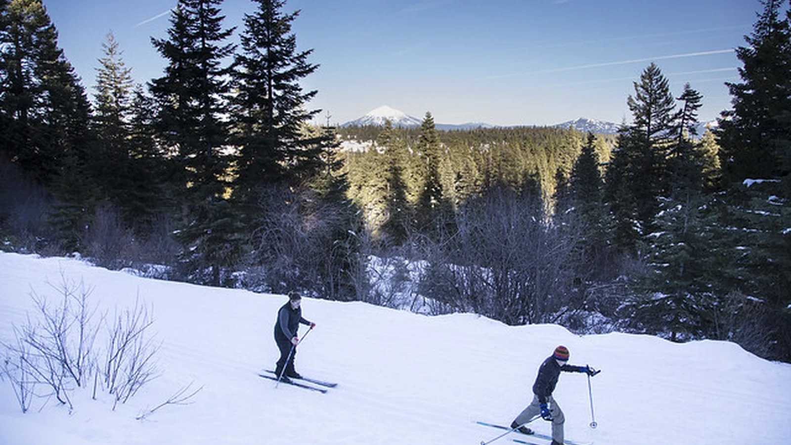 Two classic skiers diagonal stride at Buck Prairie Nordic Trail System