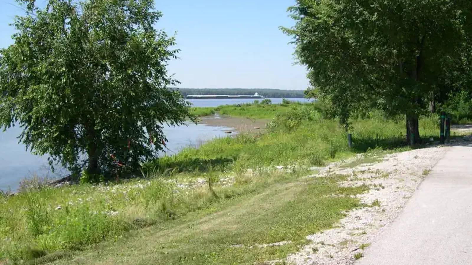 Downriver of boat ramp looking at river.