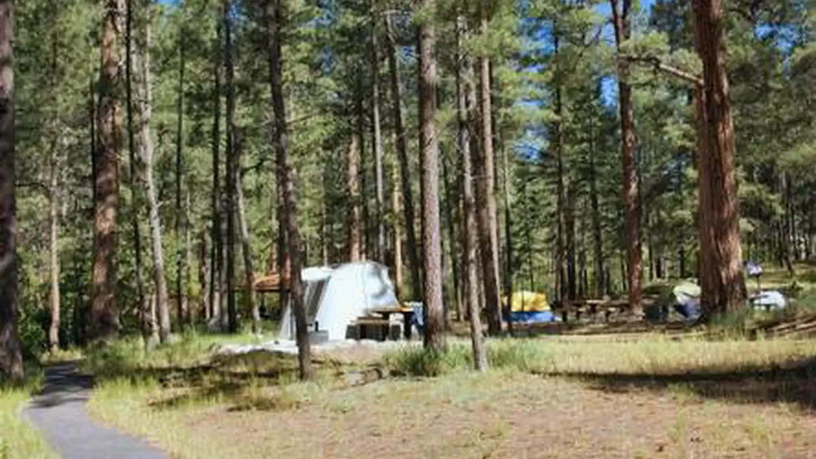 SAN ANTONIO CAMPGROUND