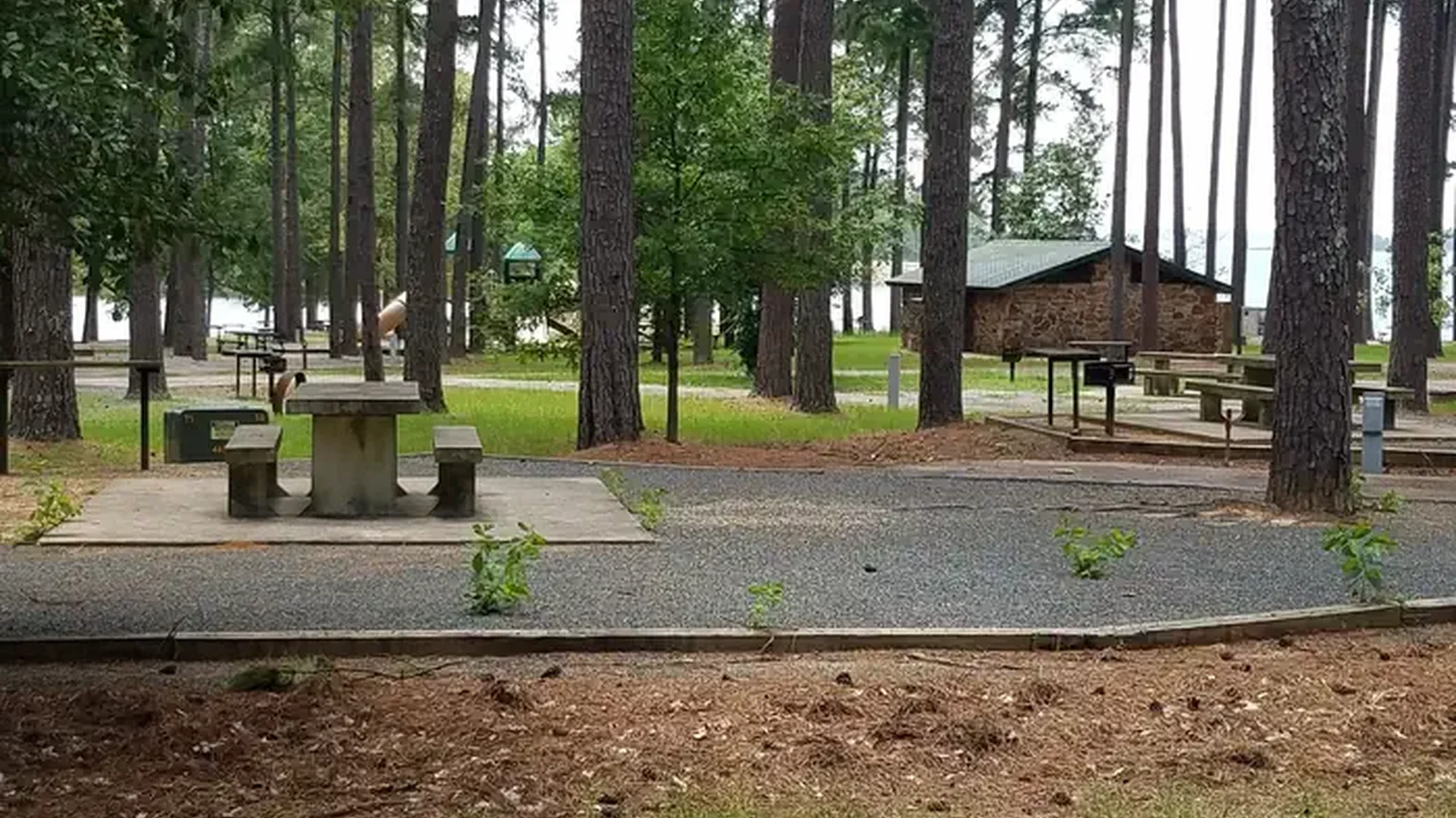 Campsite in Piney Point Park at Wright Patman Lake