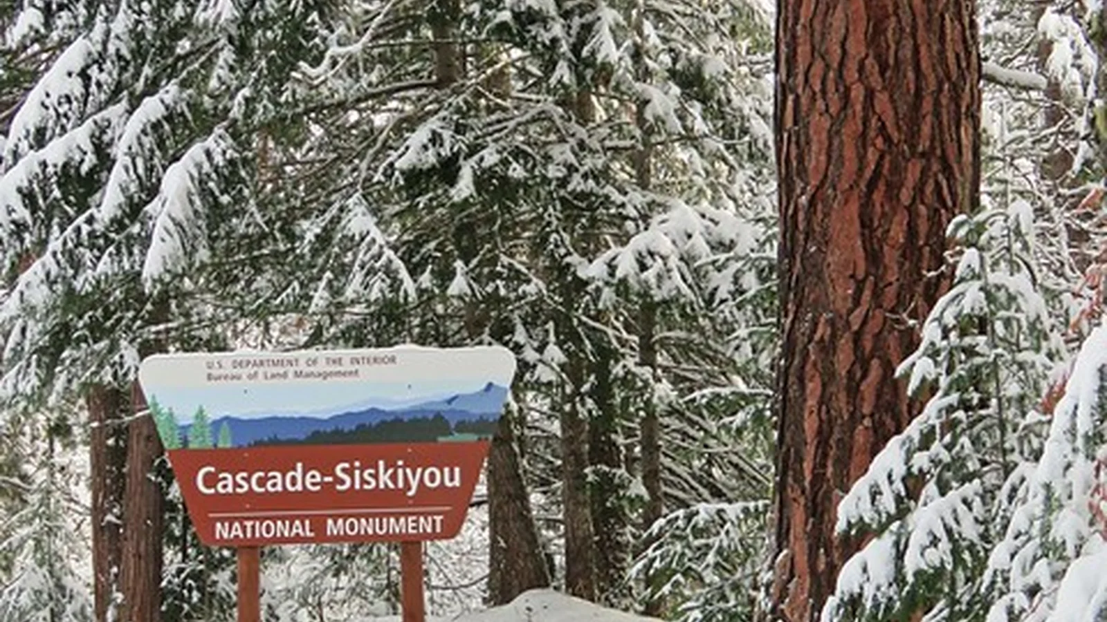 Snow at Cascade-Siskiyou National Monument