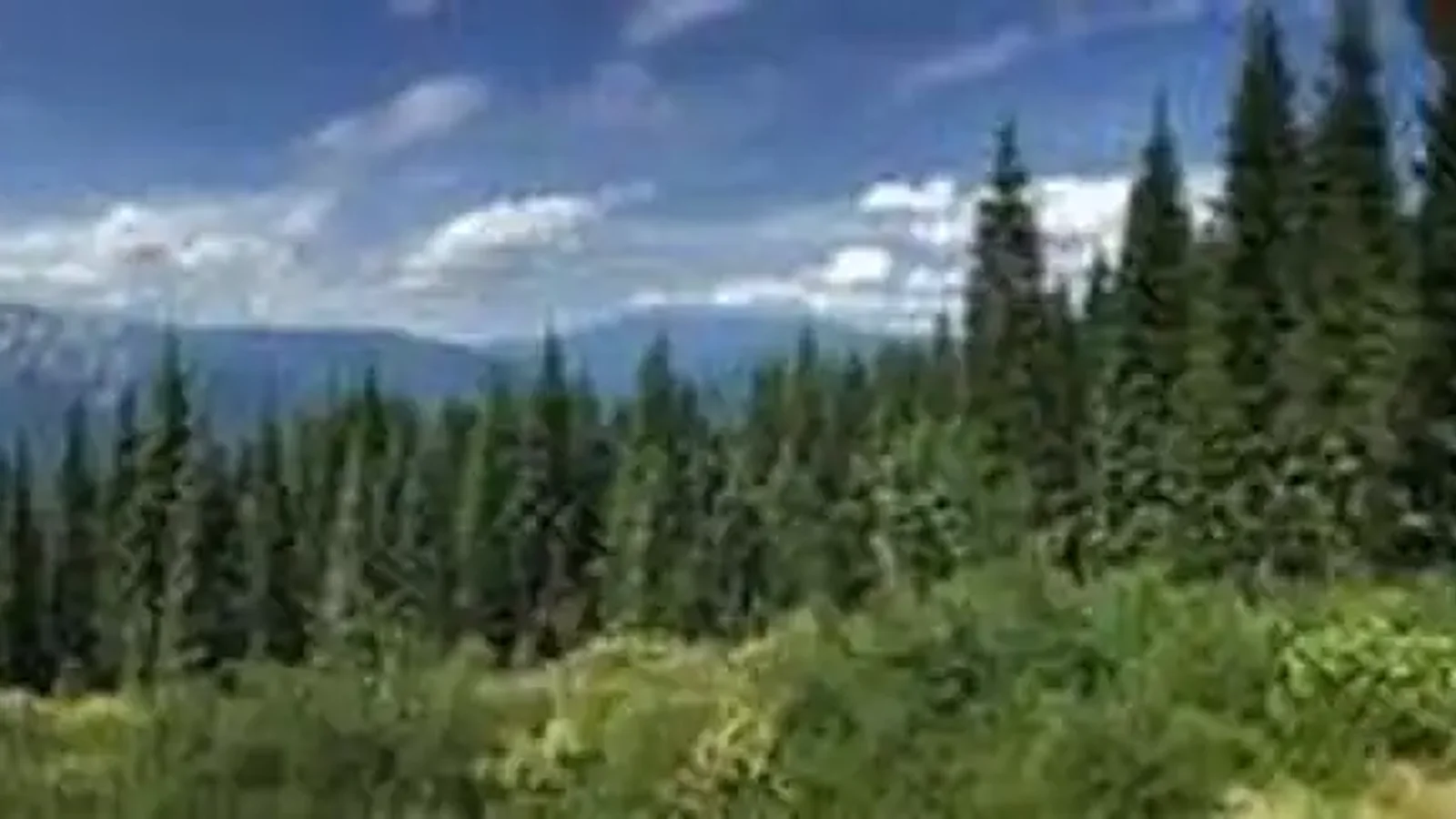 GIRARD RIDGE LOOKOUT