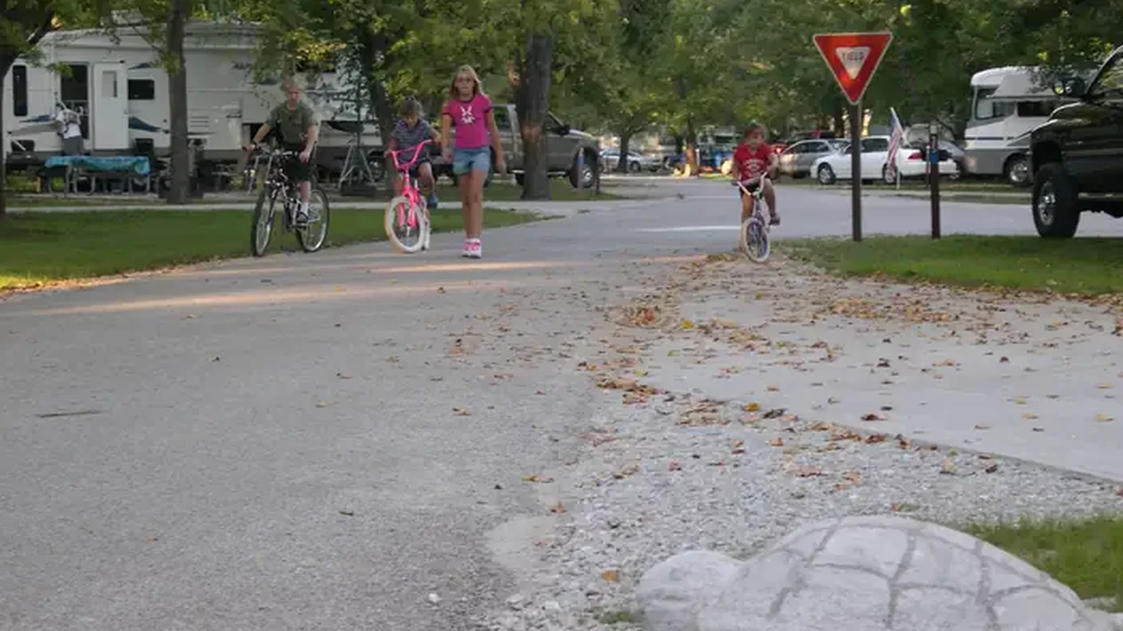 Concrete Turtle and Bicycling