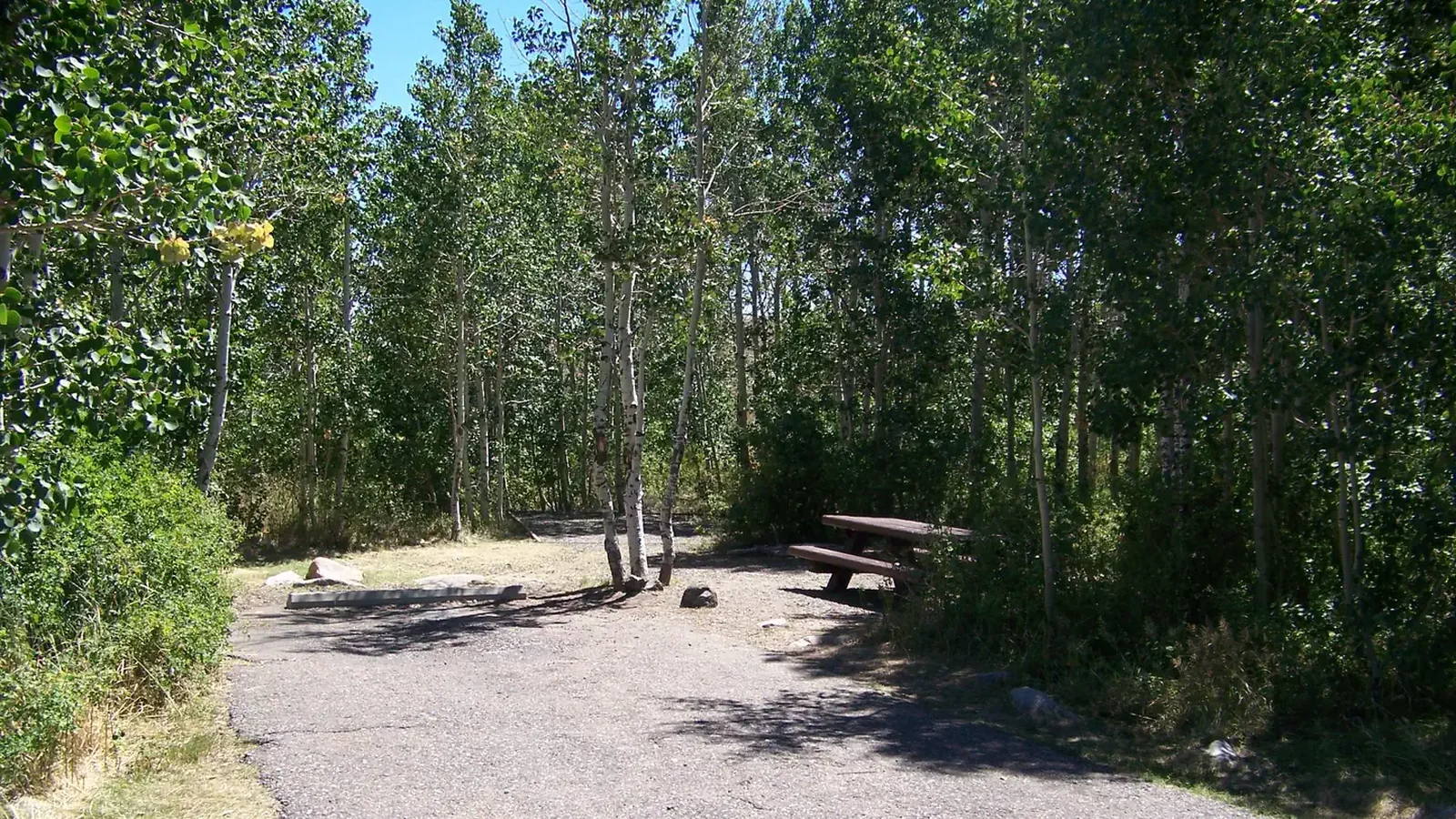 Angel Creek Site 18