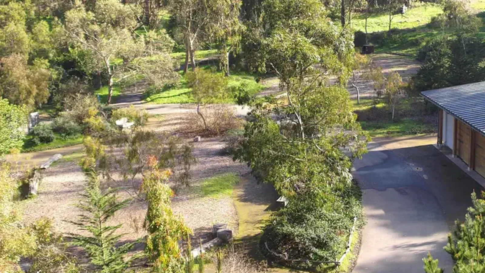 Trees and paved walkways at Rob Hill Campground