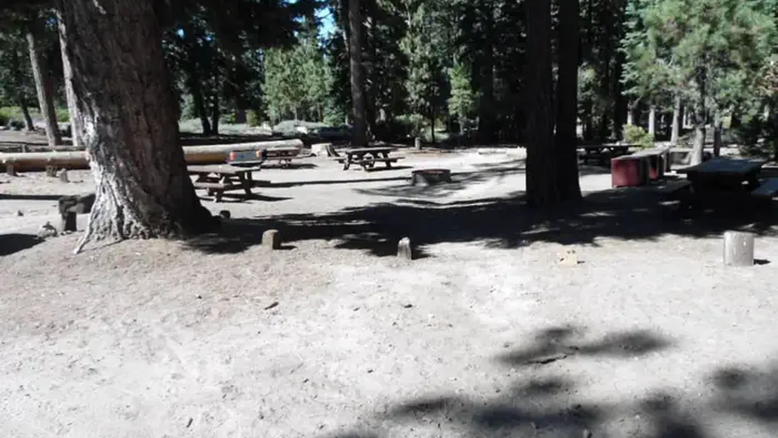 Bluff Mesa Group