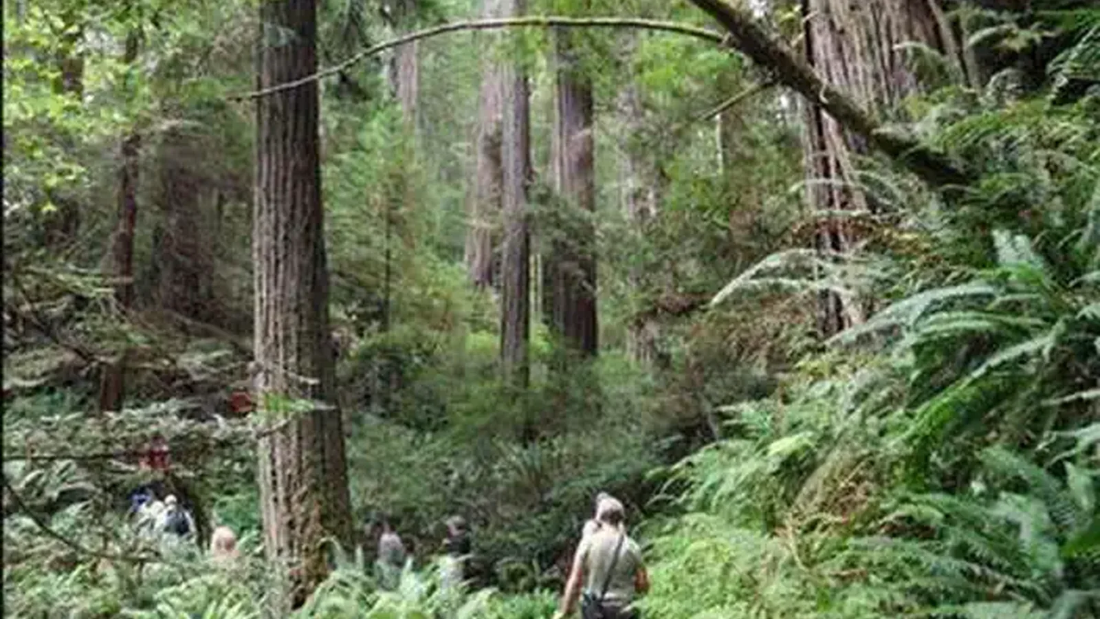 Salmon Pass Trail