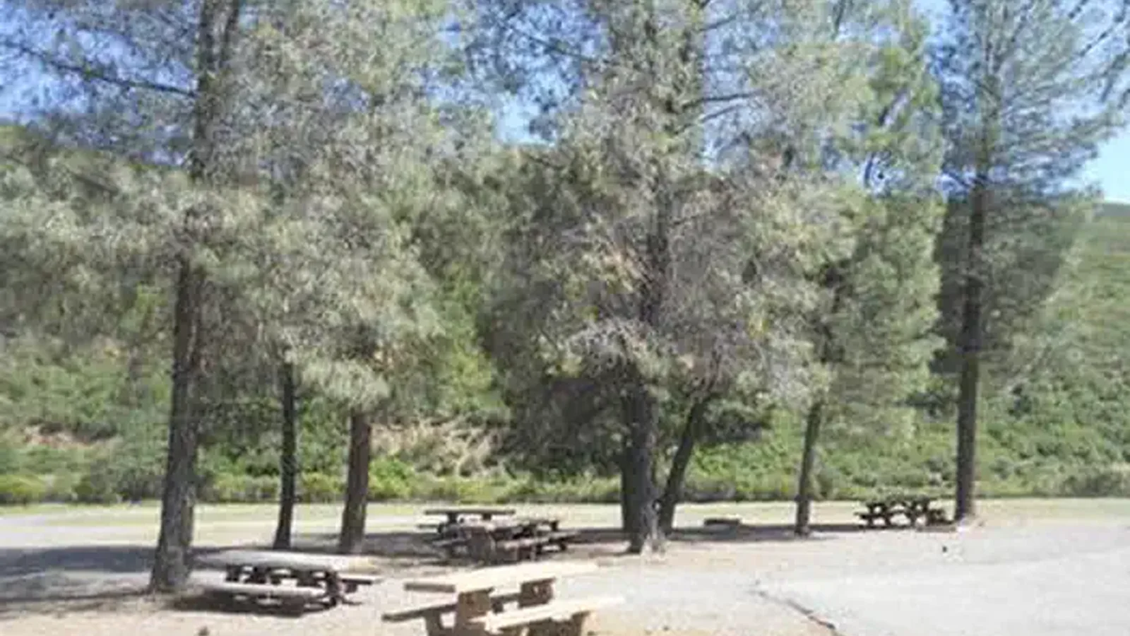 GRAY PINE GROUP CAMPGROUND