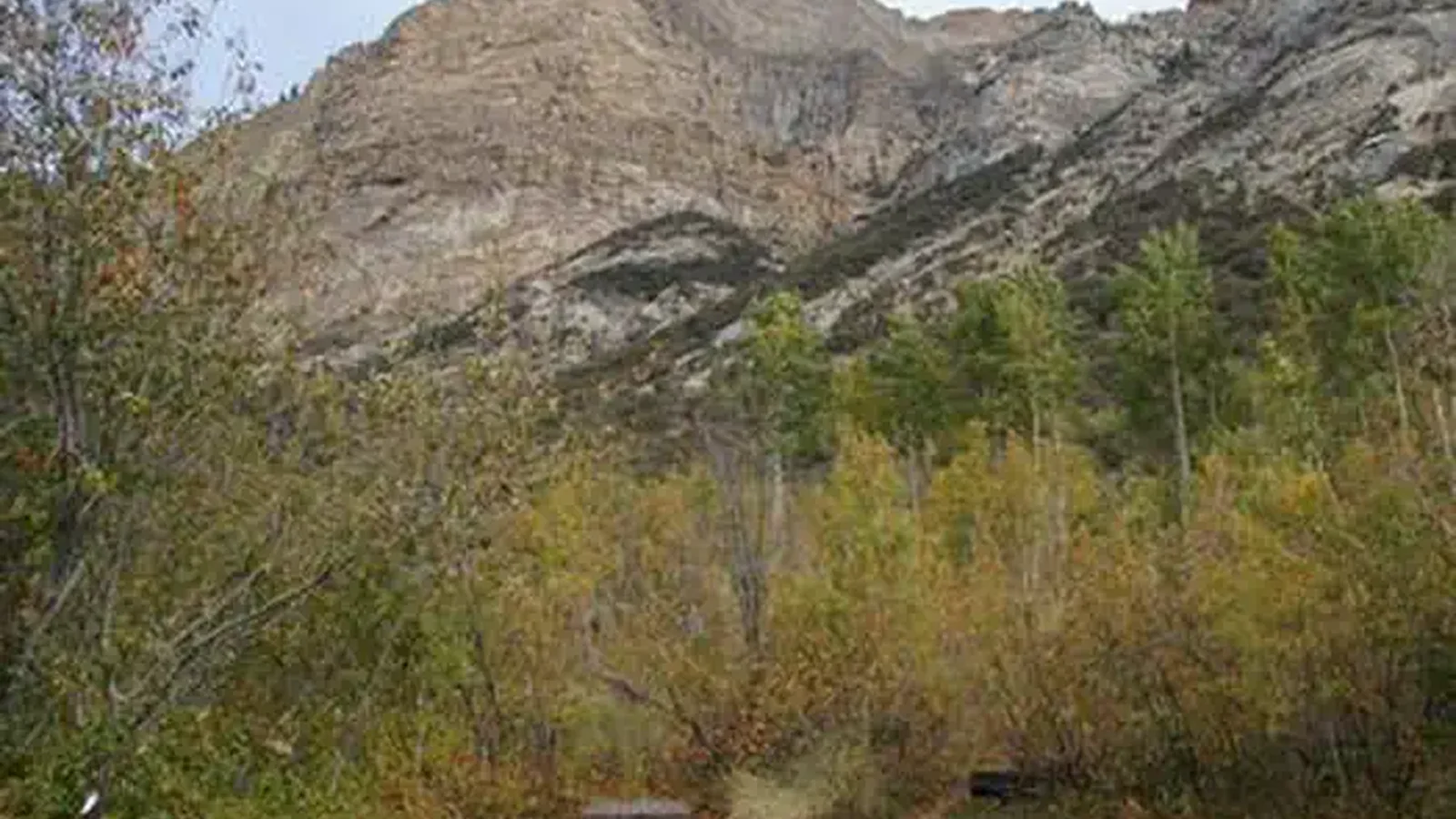 THOMAS CANYON
