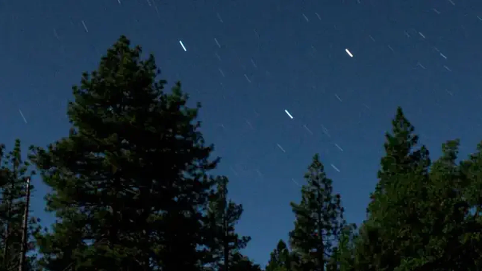 Mendocino National Forest