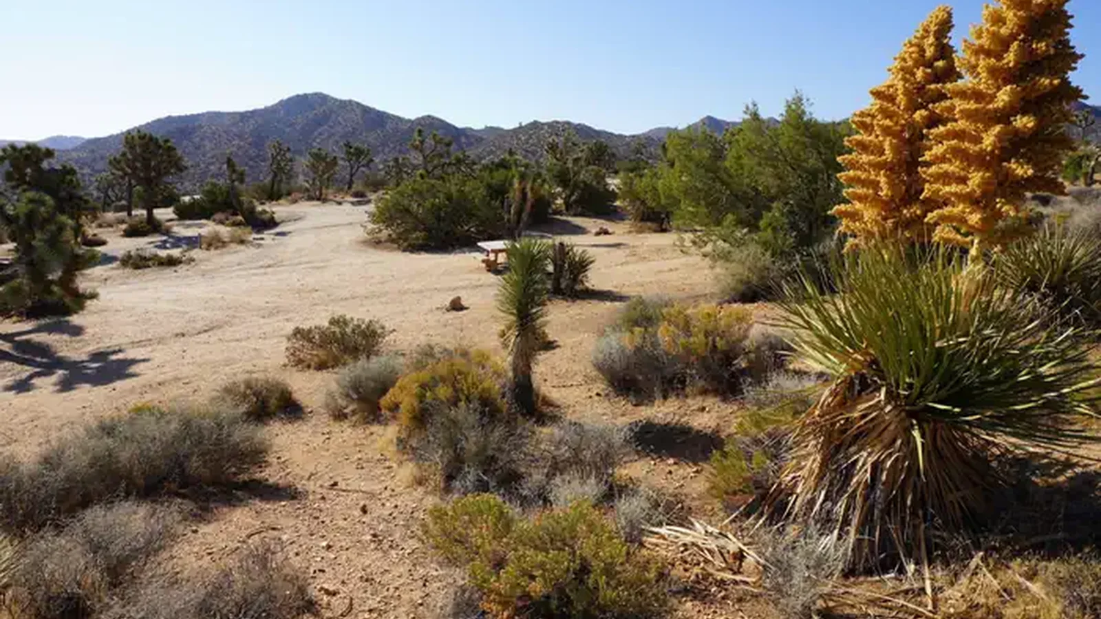 Black Rock Campground