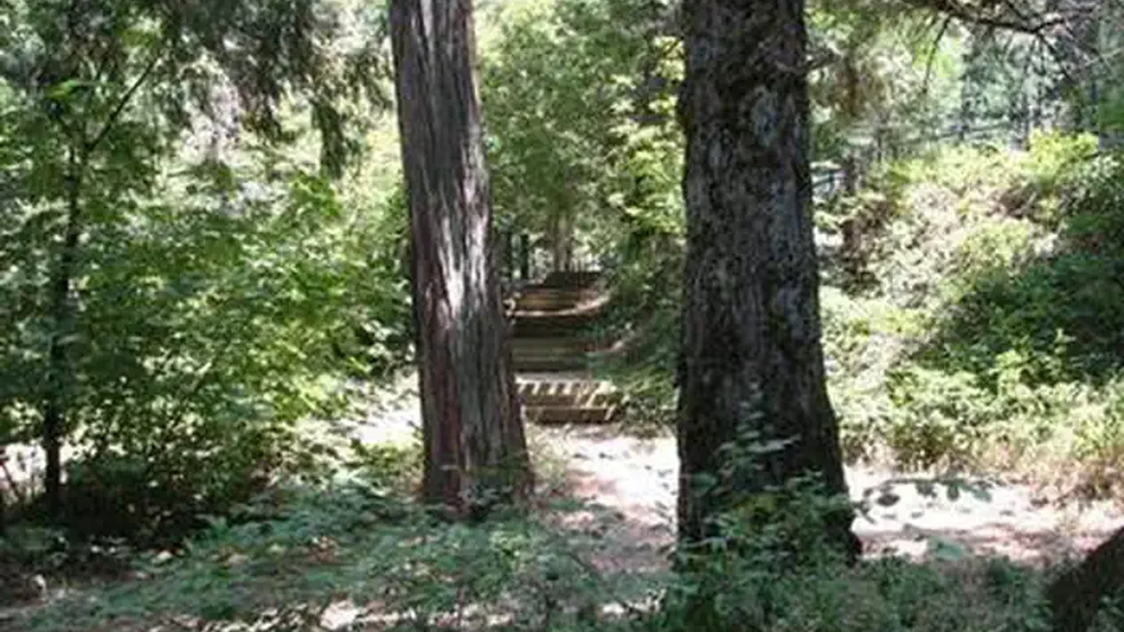 BRIDAL VEIL GROUP AREA AND PICNIC GROUND