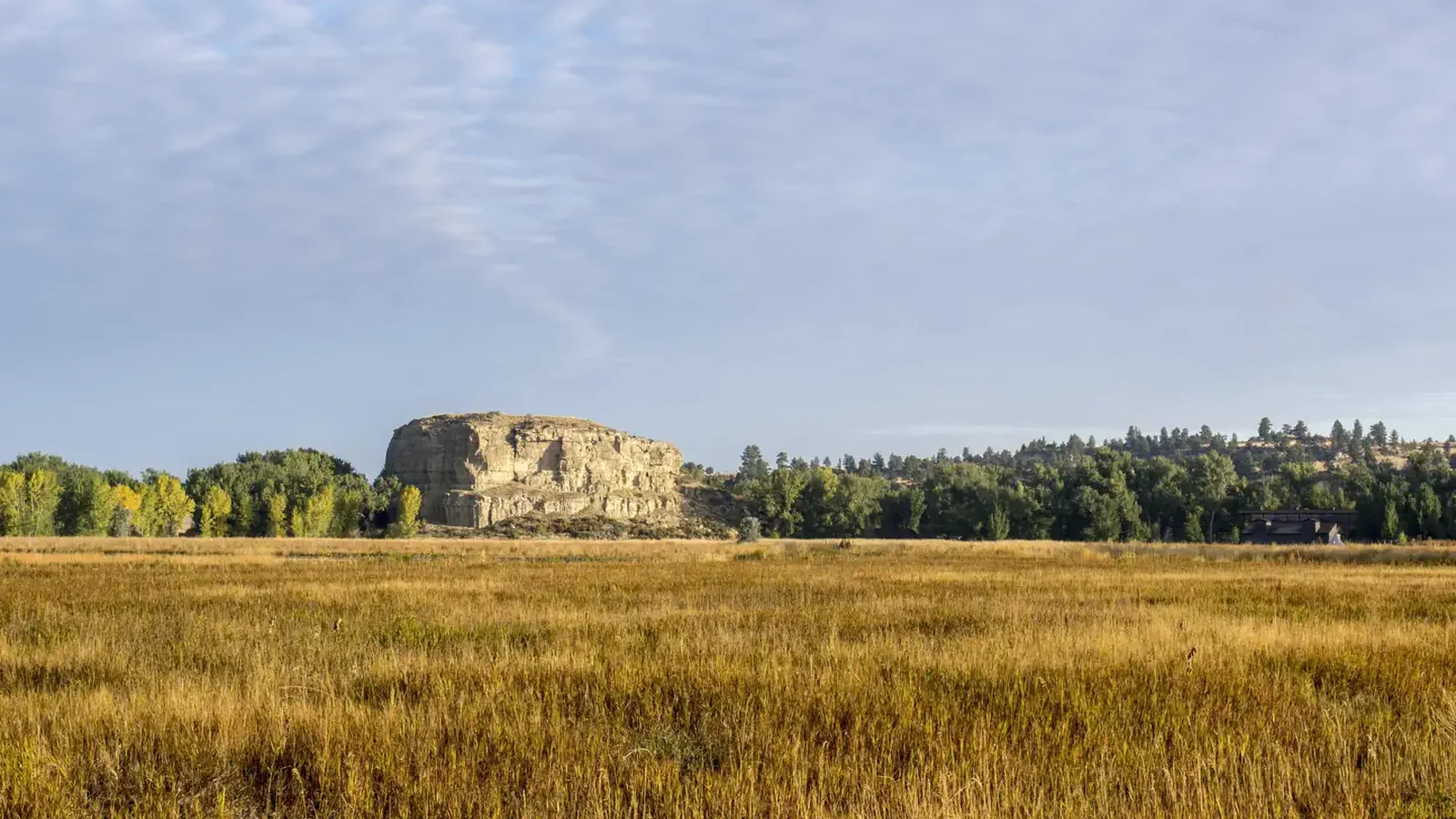 Pompeys Pillar