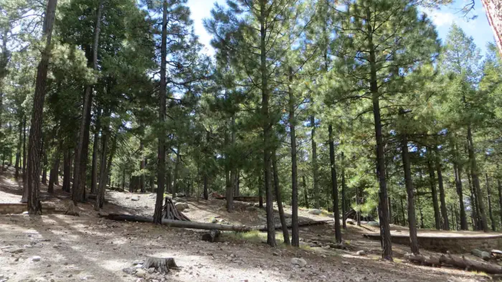Whitetail Campground