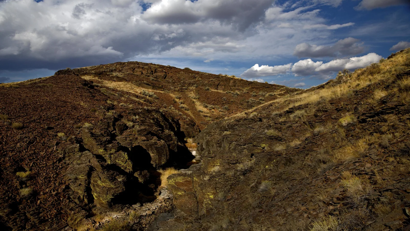 Dickshooter Creek
