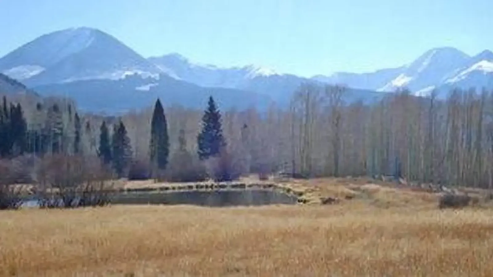 WARNER LAKE VIEW