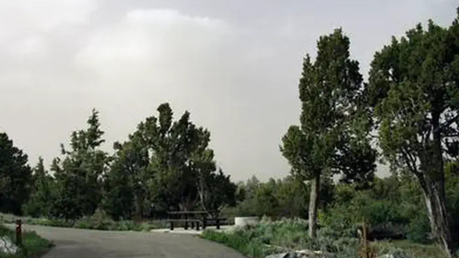 DEVILS CANYON Site